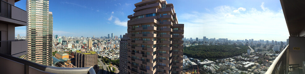 Obraz premium Panoramic view of Tokyo