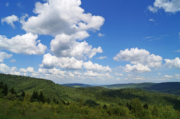 Panoramic view of the Carpathian mountains covered by a green forest under a blue sky and white clouds
