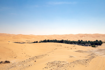 Fototapeta na wymiar Oase in der Wüste in den Vereinten arabischen Emirate.