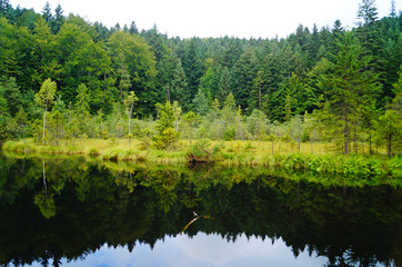 Obraz premium Mountain lake with cold dark water surrounded by green forest under a blue sky on a sunny day
