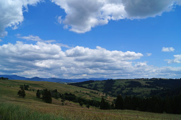 Panoramic view of the Carpathian mountains covered by a green forest under a blue sky and white clouds