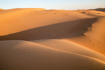 Fototapeta na wymiar Sandformationen in der Wüste in den Vereinten arabischen Emirate.