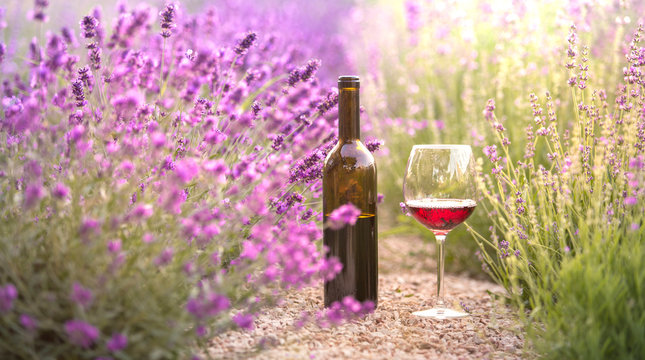 Red wine bottle and wine glass on the ground. Bottle of wine against lavender landscape. Sunset over a summer lavender field in Provence, France.