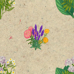 Hand drawn medicinal plant seamless pattern. Healing herbs drawing on craft paper.