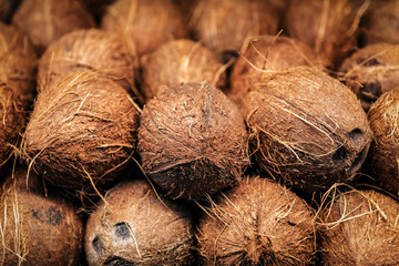 heap of ripe coconut - obrazy, fototapety, plakaty