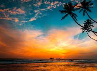 Fototapeta na wymiar palms and hot tropical sunset