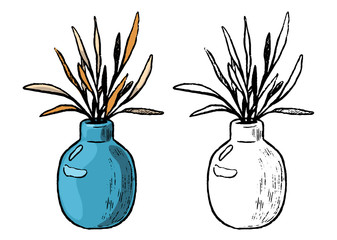 Decorative vase with plants. Hand drawn vector illustration. Set of contour and color drawings isolated on white. Vintage, engraving, botanical sketch. Elements for design, card, print, sticker etc