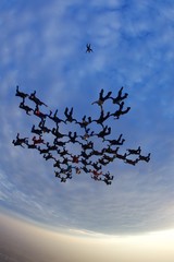skydiving big group in free fall at sunset