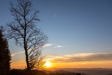 Fototapeta na wymiar Sonnenuntergang mit Baum im Frühling