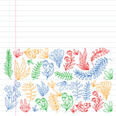 Hand vector drawn floral, leaves elements. Pattern for logo, greeting card, wedding design.