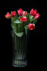A pile of beautiful red tulips in a glass pot