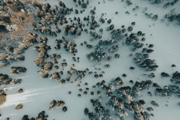 winter drone