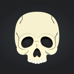 Vector skull, dead head isolated on black background.