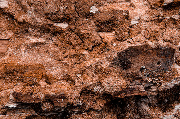 Textured natural wood background made of old wood