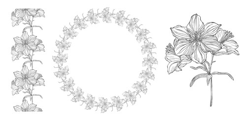 vector graphics of a floral composition with flowers lilies 3