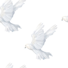 Hand drawn dove peace seamless pattern Watercolor illustration on white background