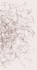 Procedural Network Mesh Art background illustration