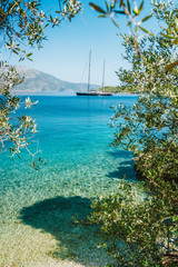 Summer vacation in Greece. Luxury private yacht in sea lagoon framed by old olive tree