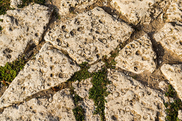 Textured wall, background