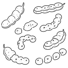 vector set of tamarind