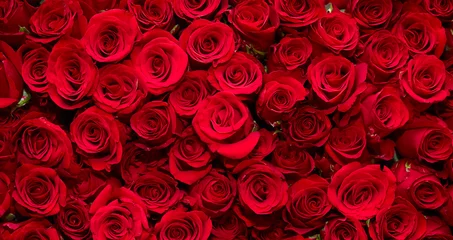 Fototapeten Rosen roses background  © mnimage