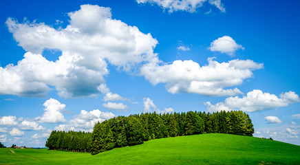 landscape in bavaria