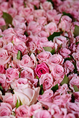 bouquet of roses