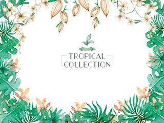 Hand drawn watercolor tropical banner with jungle leaves. Exotic leaves illustrations horizontal frame, jungle tree, brazil trendy. Perfect for design.