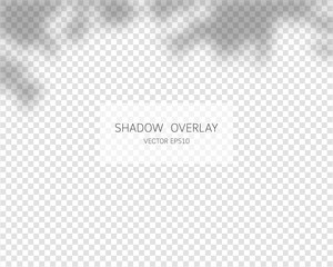 Shadow overlay effect. Natural shadows isolated on transparent background. Vector illustration. 