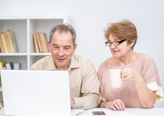 Senior couple use laptop at home