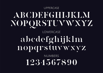 Vector stencil serif minimal alphabet - 333212190