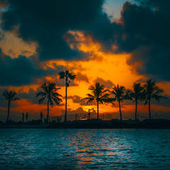 Fototapeta na wymiar sunset beach palm tree tropical clouds sky orange sea ocean island sunrise coast florida dusk beautiful eden coconut prints