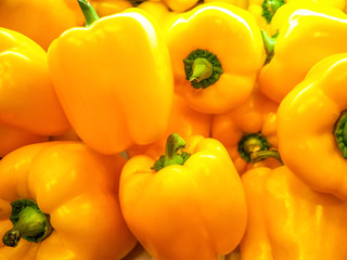 The yellow sweet pepper or yellow bell pepper.