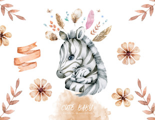 Hand drawn watercolor cute baby zebra cartoon isolated illustration on white background