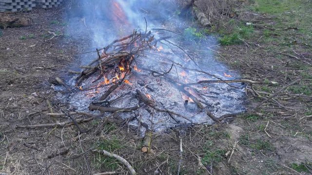 A burning bonfire in a natural setting. Orange and red flames and gray smoke blown away by the wind. Burning sticks.