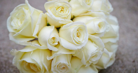 bouquet of roses