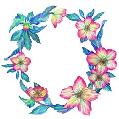 Fototapeta premium Watercolor wreath hellebore