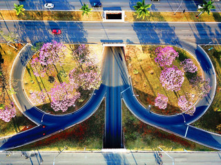 Treasury of Brasilia