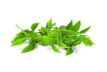pile of green tea leaves isolated on white background