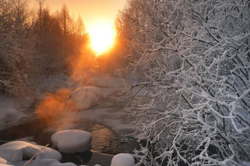 Frozen white branches, frozen trees in a cold winter park. Frost and sun.