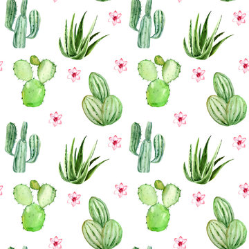 Watercolor cactus seamless pattern background. Artwork hand-drawn painted.