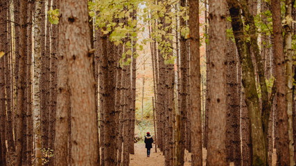 Femme marchant entre les arbres en automne