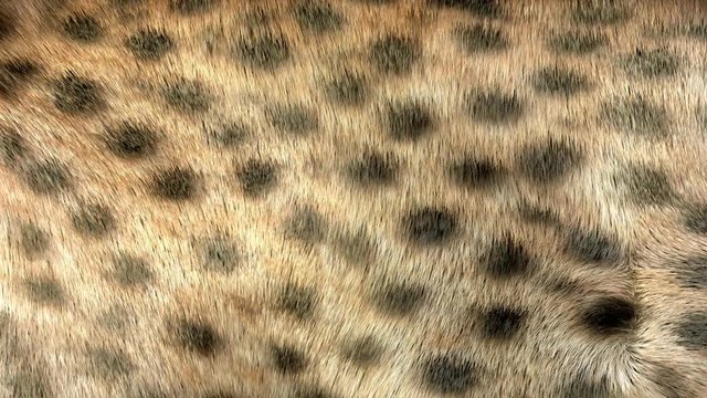 3D generated, waving Cheetah fur background
