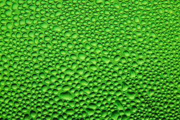 Texture water drops on the bottle of beer. Beer background,Water droplets on the green background for cool and fresh texture