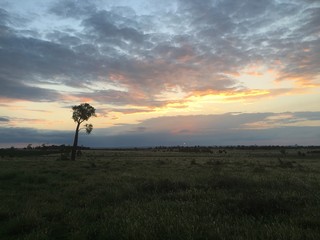 Sunset on Farm in Australia