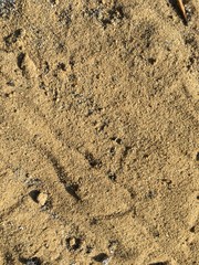 footprint in the sand
