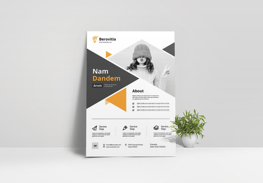 Triangle Business Flyer Layout