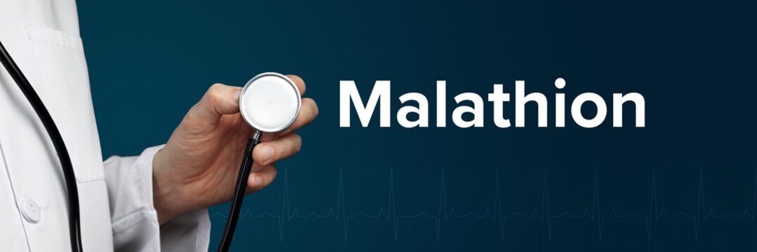 Malathion. Doctor in smock holds stethoscope. The word Malathion is next to it. Symbol of medicine, illness, health