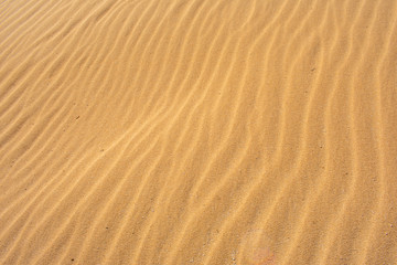 Fototapeta na wymiar Sand Dunes in Corralejo, Fuerteventura, Canary Islands, Spain. Sand or Desert against Blue sky 