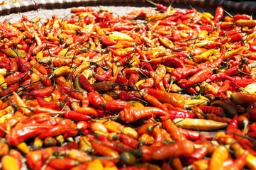 peperoncini vietnamiti